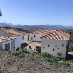 3064, Cotijo Las Monjas - Alcala la Real